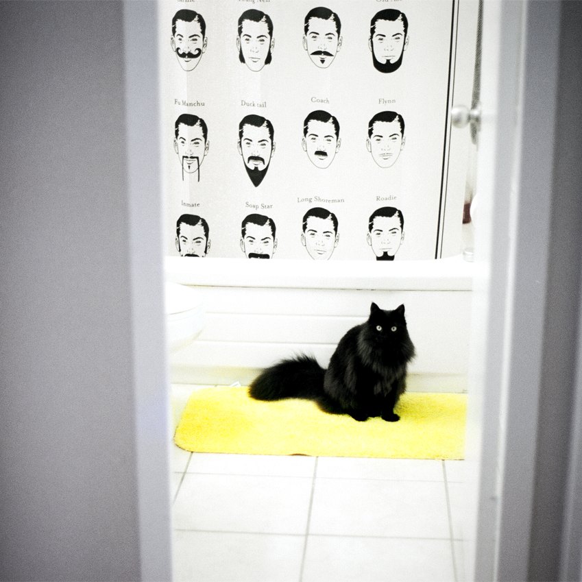 black cat on yellow mat in black and white bathroom - Bathroom Eli by flossyflotsam, on Flickr http://www.flickr.com/photos/flossyflotsam/6948377948/